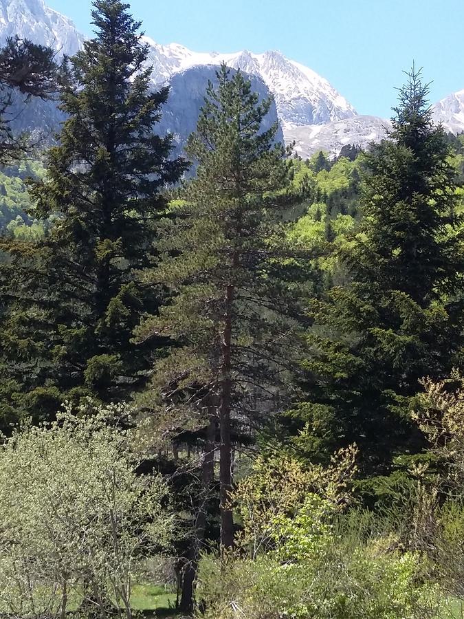 Отель Hospederia Prepirineo Ундуэс-Пинтано Экстерьер фото